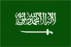 saudi.gif (6361 Byte)